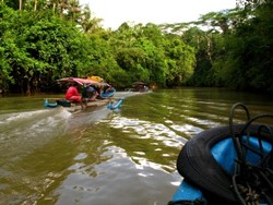Kemegahan Green Canyon