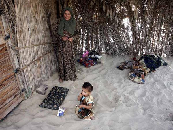 Menyambung Hidup di Tepi Gurun Sinai