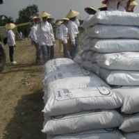 Pupuk Kaltim Gelar Tender Ekspor Pupuk Pekan Depan