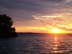  Dari Pesawat HIngga ke Melawai