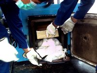 BNN Musnahkan Heroin dan Sabu