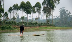 Panen Arbei di Danau Cileunca