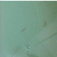 Cacing dalam Air di Apartemen Citypark 