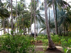 Botik, salah satu pesona Kepulauan Mentawai