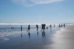 Rohyini,Tukang Sewa Kuda di Pantai Petanahan Kebumen 