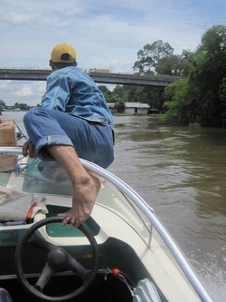 Lekuk elok Sungai Lamandau penuh tantangan
