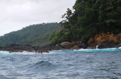 Petualangan Mencari Lumba-Lumba di Kiluan