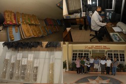 Kiri, Kanan, Kulihat Saja, Banyak Pohon Sawitnya: Kebanggaan Tersendiri Riau akan Sawitnya