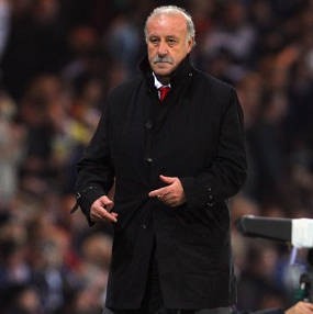 Del Bosque Sambut Kemenangan Spanyol