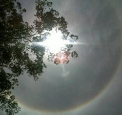 Fenomena Matahari Cincin Kembali Terlihat di Indonesia 