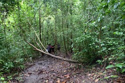 Eksotisme Pulau Sempu