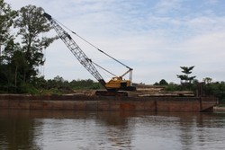 Gelondong Kayu Yang Membuat Pilu
