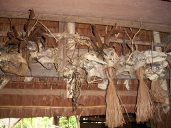 Bercakap Bahasa Mentawai di Uma