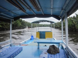 Spirit of the Forest Menjelajah Taman Nasional Tanjung Puting