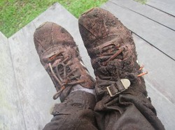 12 Cara Menikmati Tanjung Puting Lebih Menyenangkan