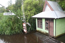 Menyusuri Sungai Sekonyer Menuju Dunia Keajaiban Tanjung Puting