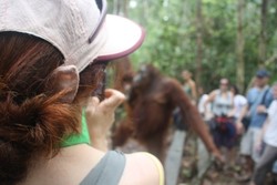 Sahabat Baru Dari Camp Lakey