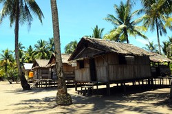 Suku Kamoro yang Terakhir