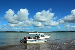 Kekwa, Warisan yang Terpendam