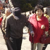 Manula di China Diawasi Lewat GPS