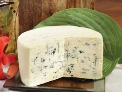 Blue Cheese, Keju Berjamur yang Lezat!