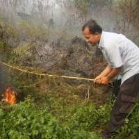 Pemprov Riau Minta Bantuan Hujan Buatan Untuk Padamkan 154 Titik Api