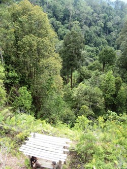 Maey Petuq Meuhuey Las Wehea