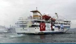 TPM Akan Ikut Siapkan Rencana Perlindungan Hukum Freedom Flotilla 2