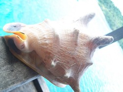 Berkunjung ke Kampung Bajo