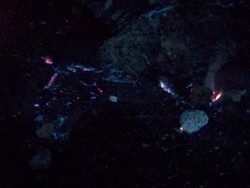 Menyaksikan Fenomena Alam di Tanjung Api