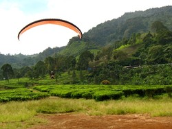Terbang Tertiup Angin