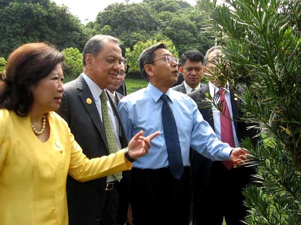 Boediono Tengok Pohon Persahabatan 