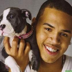 Chris Brown Bantah Konser di Jakarta Lewat Twitter