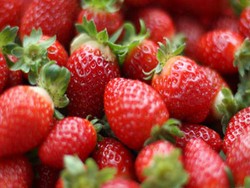 Makanan Pencegah Keriput