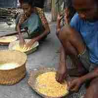 Kampanye One Day No Rice Bikin Sakit Hati Orang Miskin