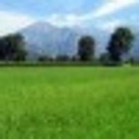 Potret Buram Pertanian Indonesia 