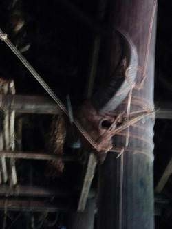 Orang Eheng dan Laminnya