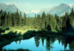 Penderita Kanker Harus Sering Lihat Pemandangan