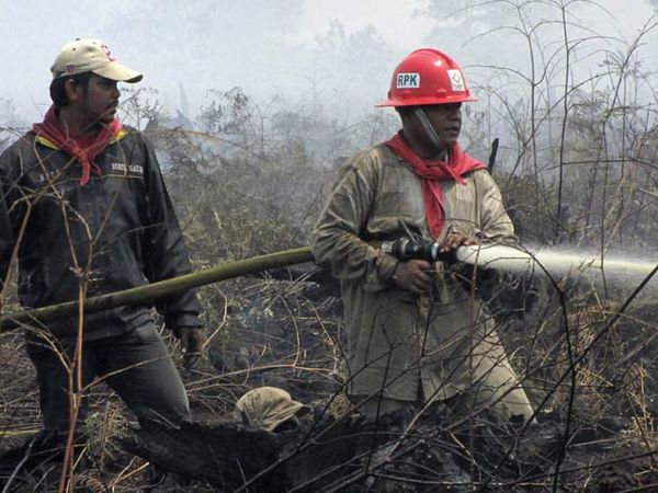 Kebakaran Hutan di Riau