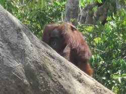 Mereguk Kedamaian Danau Tahai