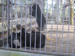 Taman Wisata Kumkum, Tempat Berteduh dari Sinar Mentari