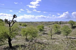 Timur Selatan Indonesia