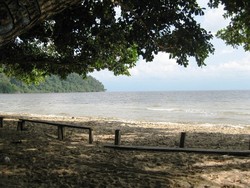 Jatuh Cinta dengan Ketapang dalam 3 Hari