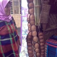 Ada Petai Raksasa di Stand Kabupaten Lebak