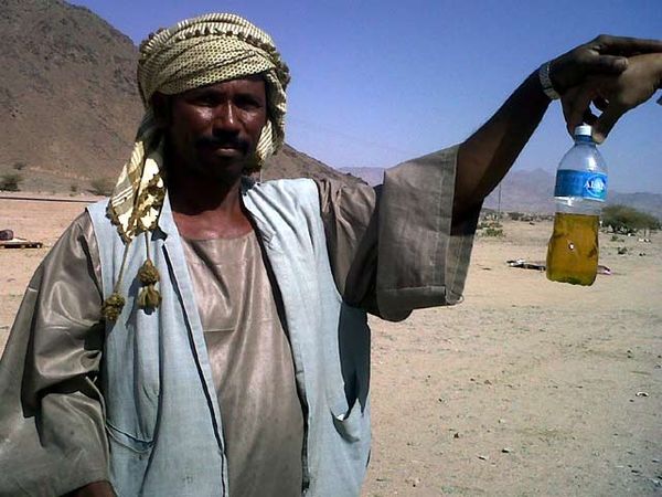 Berburu Kencing Onta