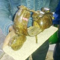 Sulap Batok Kelapa Menjadi Becak