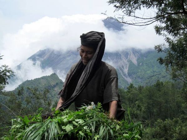 Awas Merapi, Aktivitas Warga Normal