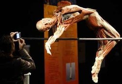 Siapa Mau Koleksi Mayat? 