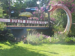 Bukit Bougenville