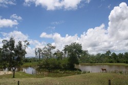 Taman Wisata Buat, buat kita yang mendambakan ketenangan.